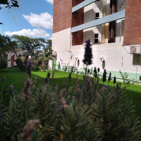 Quintana Hotel San Luis Eksteriør bilde